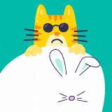 kaiyun.com
