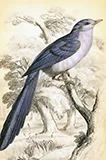 热门内容分类 - kaiyun.com